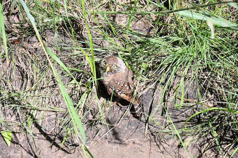 Melanie Heinrich Travel Images Africa